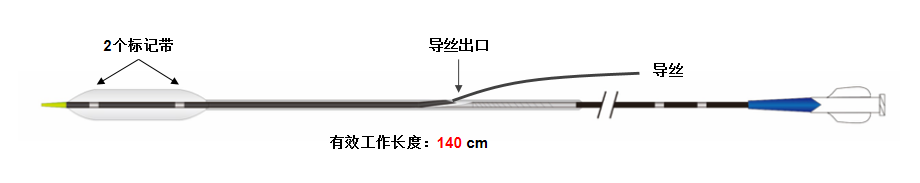 博荷? Bhmintbh 肺動脈球囊擴(kuò)張導(dǎo)管(圖2)